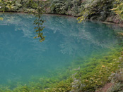 Im Reich der schönen Lau - der Blautopf bei Blaubeuren