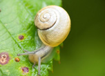 Der Landkreis Günzburg bietet rund um Wandern & Natur richtig viel