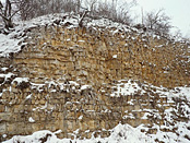 GeoPark Schwäbische Alb sehen Sie Ammoniten und Fossilien