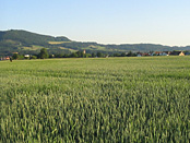 Die Schwäbische Alb mit ihren charakteristischen Landschaftsformen