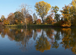 Herbst Freuden in Leipheim, Günzburg, Ulm und Augsburg. Die zauberhafte Natur entlang der Donau lädt ein, den goldenen Herbst zu genießen, Konzerten zu lauschen und die Wärme der letzten Sonnenstrahlen zu spüren