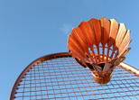 Im Freibad Günzburg gibt es ein Badminton und Volleybald Feld