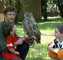 Greifvogelpark in Konzenberg Greifvogelpark in Konzenberg