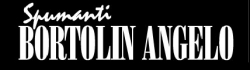 BORTOLIN ANGELO BORTOLIN ANGELO